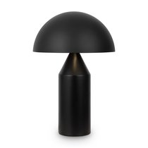 Настольный светильник Freya FR5218TL-02B1 - Freya