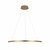 10014L Подвесной светильник LOFT IT Ring - Loft It