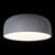10201/480 Grey Потолочный светильник LOFT IT Axel - Loft It