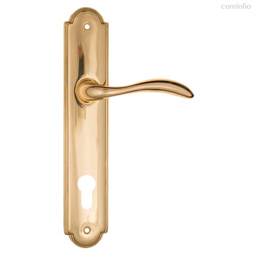 Дверная ручка на планке Fratelli Cattini LUCCIA CYL PL257-OLV полированная латунь - Fratelli Cattini