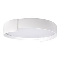 10200 White Потолочный светильник LOFT IT Coin - Loft It