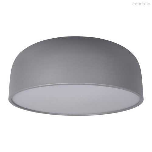 10201/480 Grey Потолочный светильник LOFT IT Axel - Loft It
