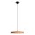 10119 Orange Подвесной светильник LOFT IT Plato - Loft It