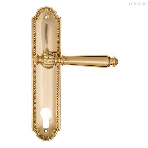 Дверная ручка на планке Fratelli Cattini MARANI CYL PL248-OLV полированная латунь - Fratelli Cattini