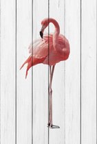 Розовый фламинго 40х60 см, 40x60 см - Dom Korleone