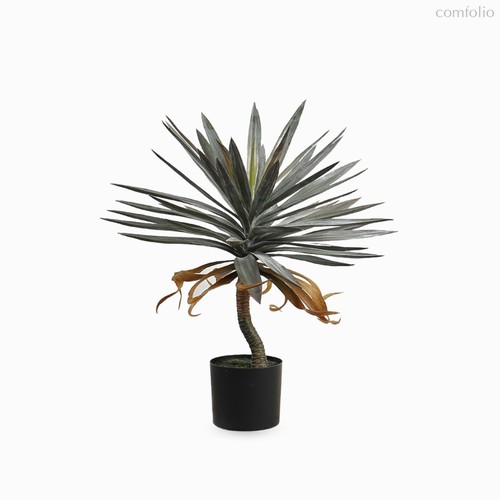 Драцена высота 72, цвет зеленый - Cosmo