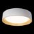 10202 White Потолочный светильник LOFT IT Coin - Loft It