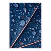 Синий лист, 50x70 см - Dom Korleone