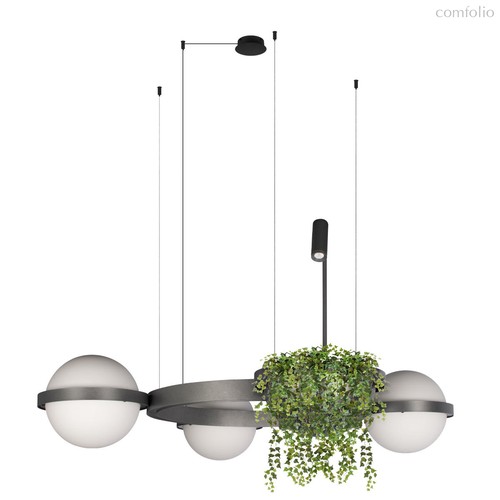 10121/3 Dark grey Подвесной светильник LOFT IT Jardin - Loft It