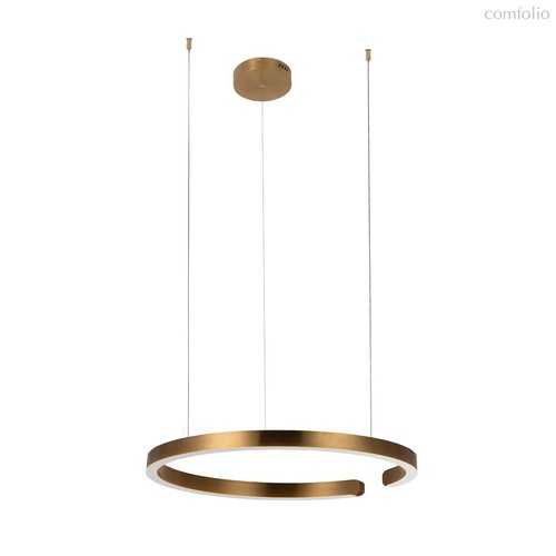 10013L Подвесной светильник LOFT IT Ring - Loft It