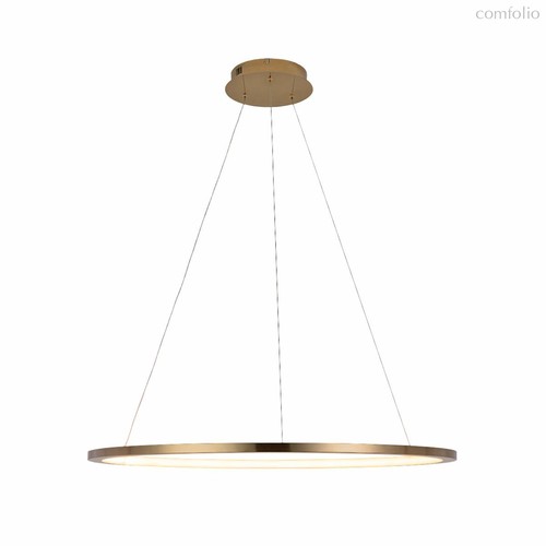 10014L Подвесной светильник LOFT IT Ring - Loft It