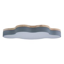 10005/36 Grey Потолочный светильник LOFT IT Axel - Loft It