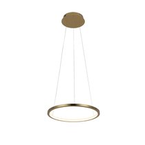 10014S Подвесной светильник LOFT IT Ring - Loft It