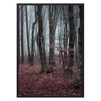 Сказочный лес, 30x40 см - Dom Korleone