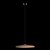10119 Orange Подвесной светильник LOFT IT Plato - Loft It