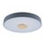 10003/24 Grey Потолочный светильник LOFT IT Axel - Loft It