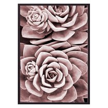 Розовый суккулент, 40x60 см - Dom Korleone