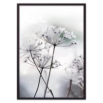 Цветы-зонтики, 40x60 см - Dom Korleone