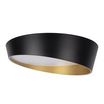 10199 Black Потолочный светильник LOFT IT Coin - Loft It