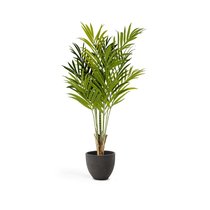 Искусственная пальма бабочка Flower 170 см, цвет черный - La Forma