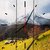Осень в Альпах 50х50 см, 50x50 см - Dom Korleone
