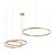10017/3L Подвесной светильник LOFT IT Ring - Loft It