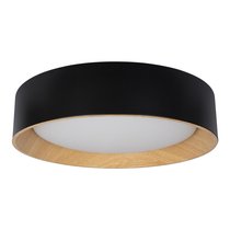 10202 Black Потолочный светильник LOFT IT Coin - Loft It
