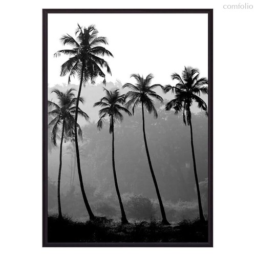 Пальмы, 50x70 см - Dom Korleone