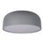 10201/480 Grey Потолочный светильник LOFT IT Axel - Loft It