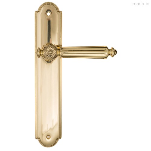 Дверная ручка на планке Fratelli Cattini "TORCELLO" PL257-OLV полированная латунь - Fratelli Cattini