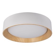 10202 White Потолочный светильник LOFT IT Coin - Loft It