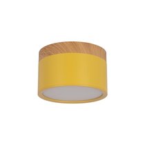 10162 Yellow Накладной светильник LOFT IT Grape - Loft It