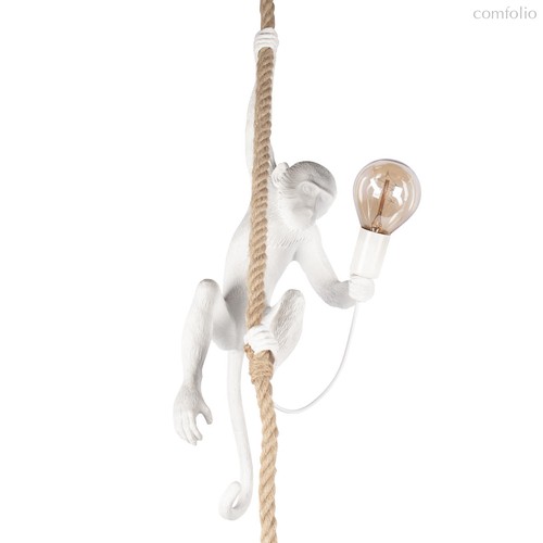 10314P Подвесной светильник LOFT IT Monkey - Loft It