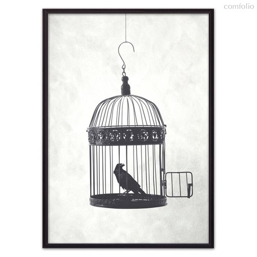 Птица в клетке, 30x40 см - Dom Korleone