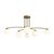 Потолочный светильник Freya Hanger FR5443CL-06BS - Freya