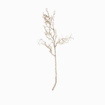 Декор Silent Branch, цвет золотой - Cosmo