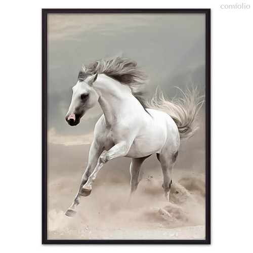 Резвая лошадь, 40x60 см - Dom Korleone