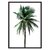 Зеленая пальма, 40x60 см - Dom Korleone