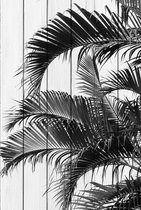 Пальмовые листья 80х120 см, 80x120 см - Dom Korleone