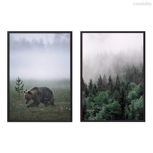 Коллаж Природа №96, 40x60 см - Dom Korleone