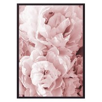 Розовые пионы, 21x30 см - Dom Korleone