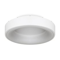 Потолочный светильник Freya FR6118CL-L45W - Freya
