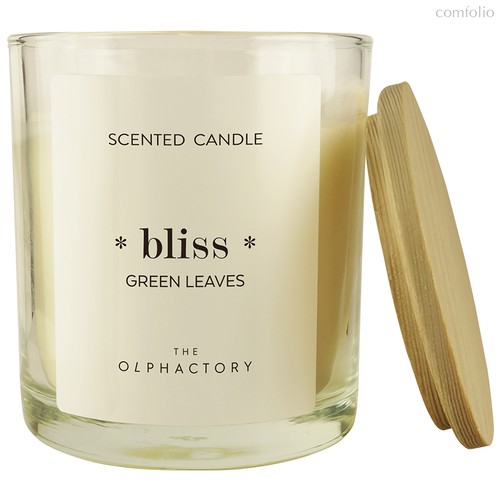 Свеча ароматическая The Olphactory, Bliss, Green Rhubarb, 40 ч - Ambientair