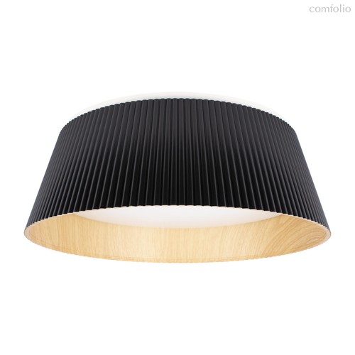 10224 Black Потолочный светильник LOFT IT Evans - Loft It