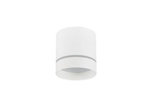 LED Barell светильник накладной, 9Вт, D79хH84мм, 630Лм, 120°, 3000К, IP20, Ra80, PF65, 220-245В, белый RAL9003, источник питания в комплекте - Donolux