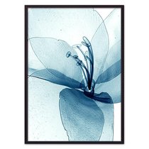 Прозрачный цветок, 40x60 см - Dom Korleone