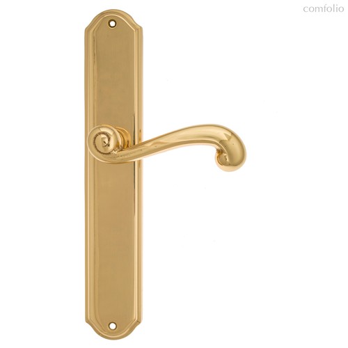 Дверная ручка Venezia Carnevale на планке PL02 полированная латунь - Venezia Collezione
