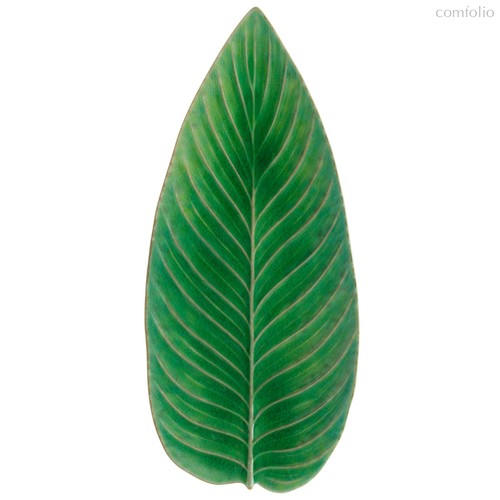 Блюдо лист Riviera Tomate VEA401-TMT (VEA401-00816L) - Costa Nova