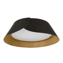 10370 Black Потолочный светильник LOFT IT Lane - Loft It