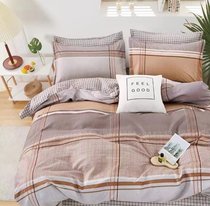 Комплект постельного белья CA-6-752 Евро Сатин печатный с наволочками 70х70х2шт.+50х70х2шт. - АльВиТек